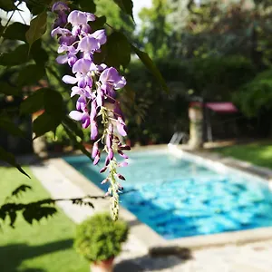 **** Hotel Park Palace Itália